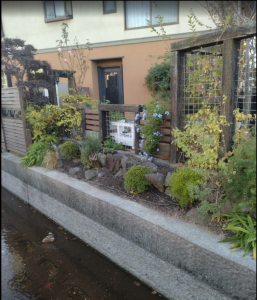 季節の植え替え