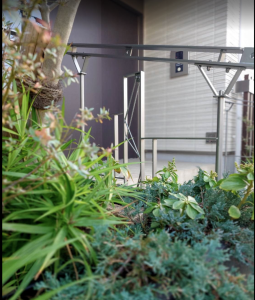 植物の間から垣間見えるアイアン手摺