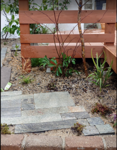 植栽の植え込み2日目　箕面市坊島