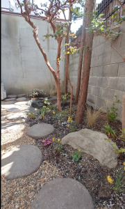 植栽　リストと庭の完成　吹田市