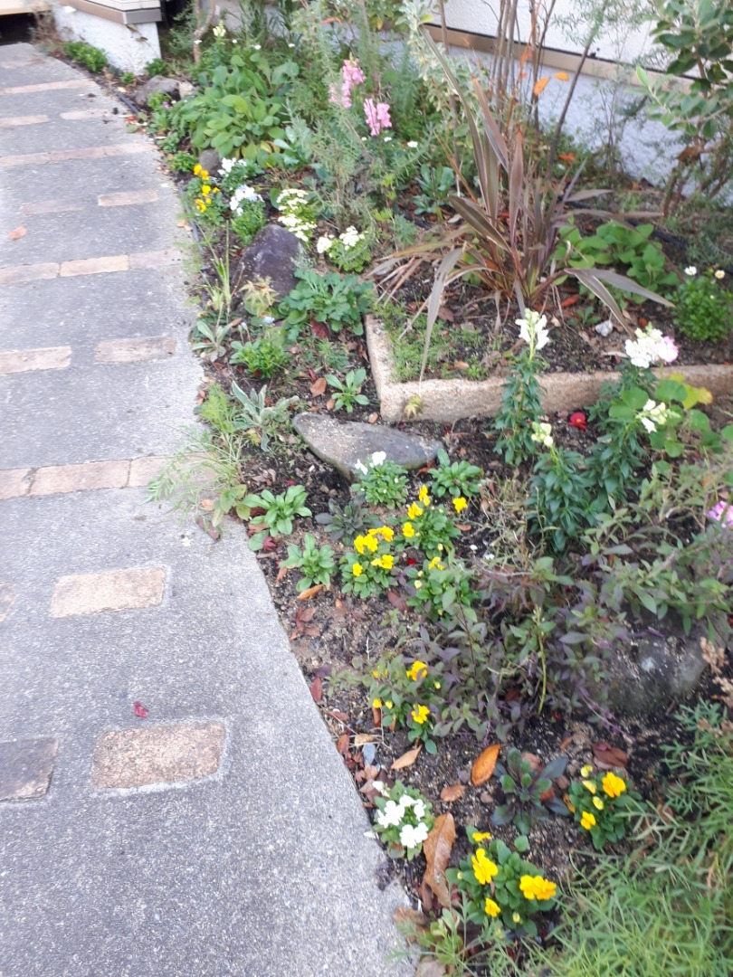 植栽　　　　　　京都府木津川