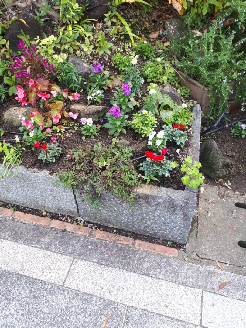 植栽　　　　　京都府木津川