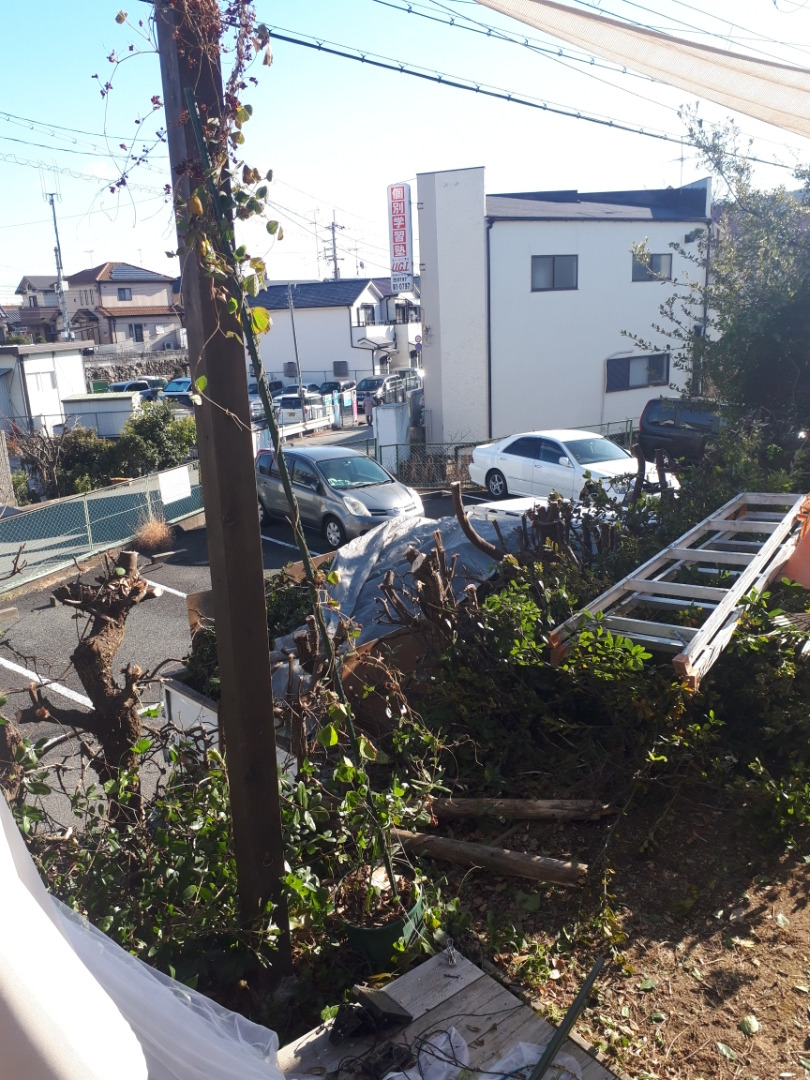 生垣伐採　　　　兵庫県西宮市